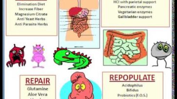 How do I detox my gut?