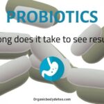 How long does it take for probiotics to work for weight loss?