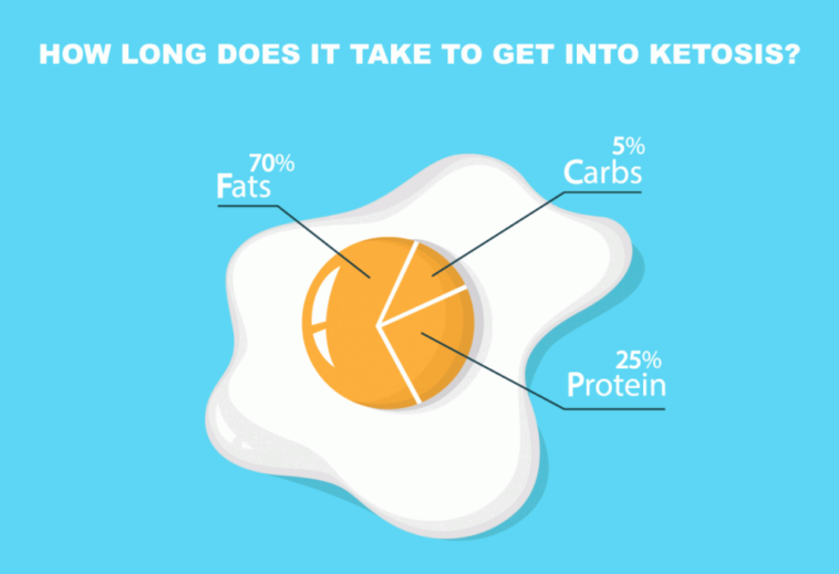 How long does it take to go into ketosis on Ideal Protein?