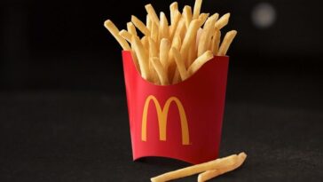 How many calories in a Wendy's small fry?
