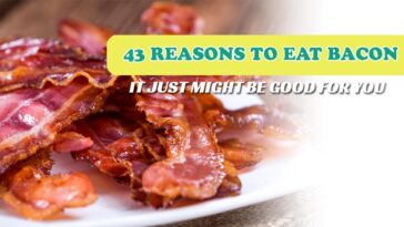 How often is it OK to eat bacon?