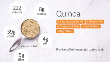 Is 1 cup of quinoa too much?