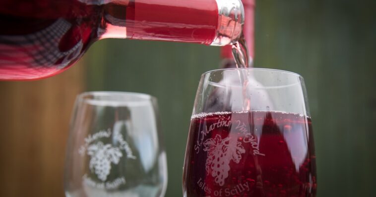 Is it OK to drink a bottle of wine a day?