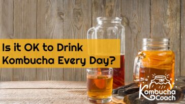 Is it OK to drink kombucha every day?