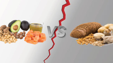 Is it better to eat fat or carbs?