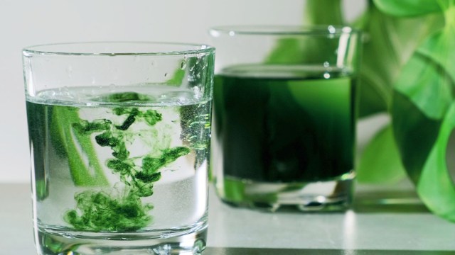 Is it safe to drink chlorophyll everyday?