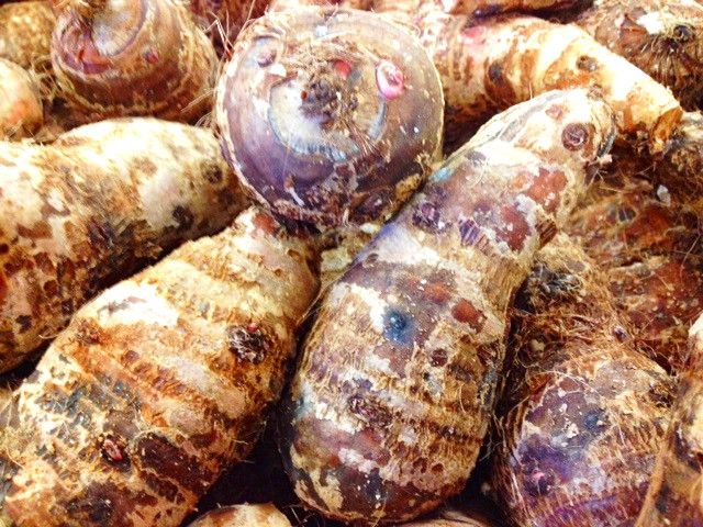 Is taro root good for weight loss?