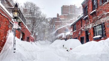 Is your Blizzard free if they don't flip it?