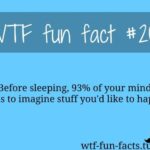 What are some fun facts about Wendy's?