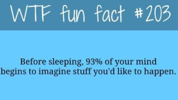 What are some fun facts about Wendy's?