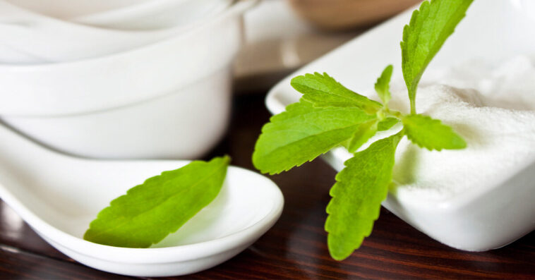 What are the side effects of stevia?