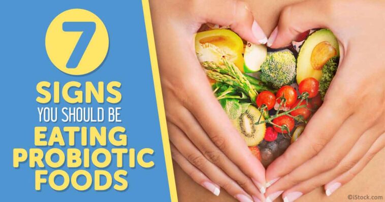 What are the signs you need probiotics?