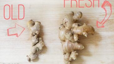 What does spoiled ginger look like?