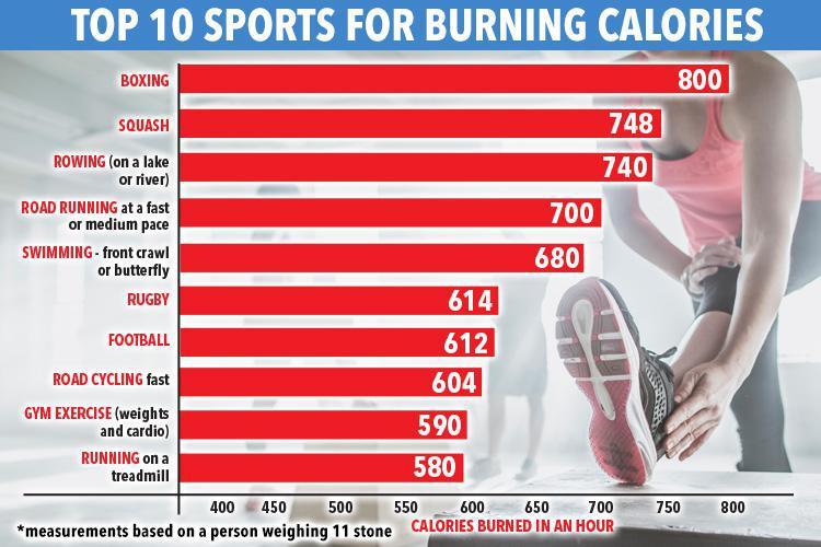 What exercise burns the most calories?