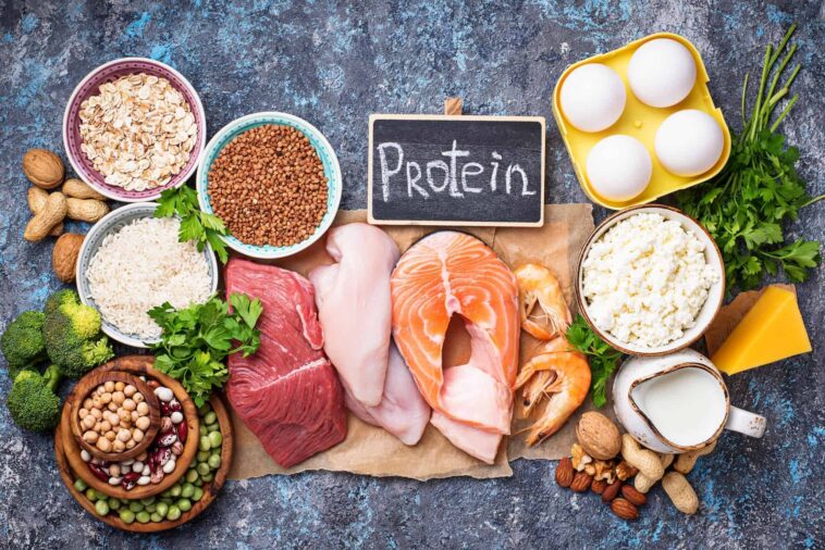 What foods are full of protein?