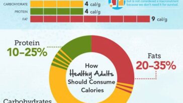 What is a good protein to calorie ratio?