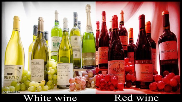 What is the healthiest wine?