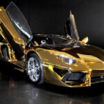 What is the most expensive mustard?