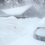 What is the most ordered blizzard?