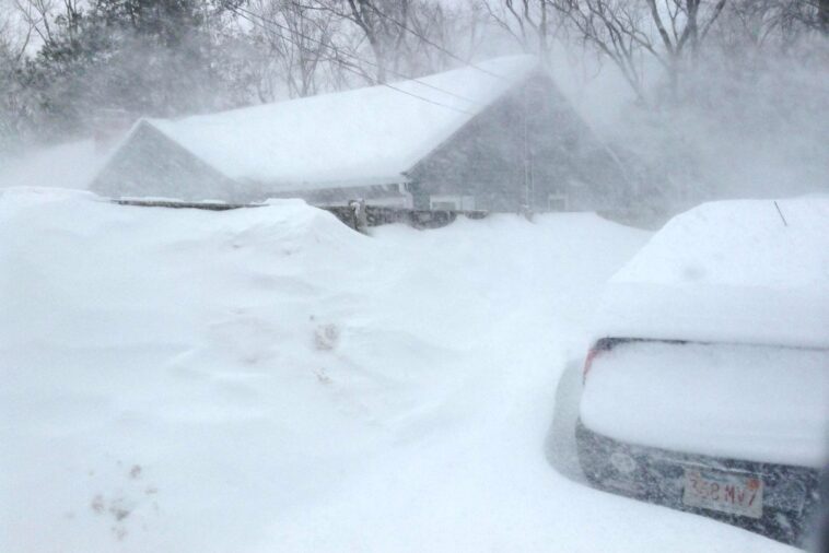 What is the most ordered blizzard?