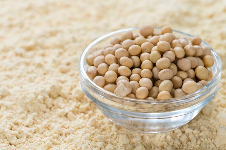 What is wrong with soy protein?