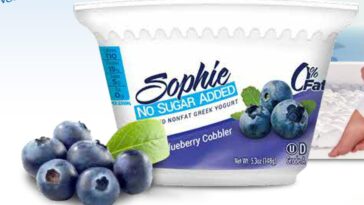 What kind of yogurt has no sugar?