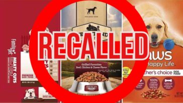 What pet food has been recalled 2021?