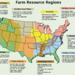 What region of the US has the best food?