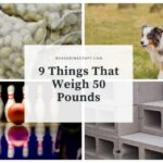 What things weigh 50 pounds?