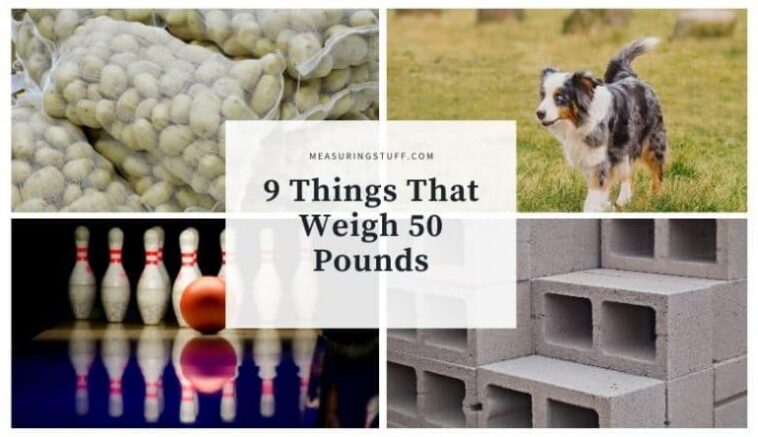 What things weigh 50 pounds?