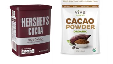 What's the difference between cocoa powder and cacao powder?