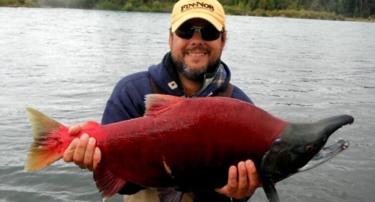 Which fish is the healthiest?