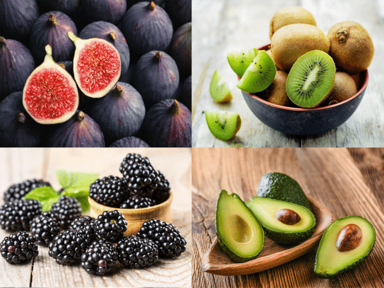 Which fruit is highest in protein?