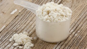 Which is the No 1 protein powder?