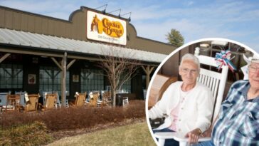 Which state has the most Cracker Barrels?