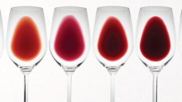 Which type of red wine is the smoothest?