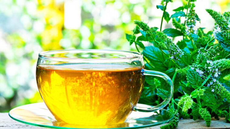 Who should not drink peppermint tea?