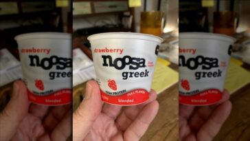 Why is Noosa yogurt so popular?