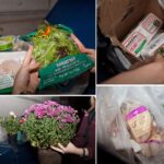 Why is Trader Joe's out of so many items?