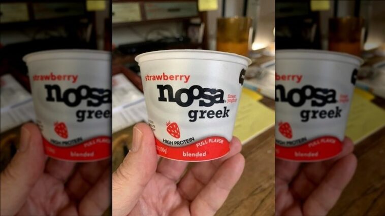 Why is noosa yogurt so popular?
